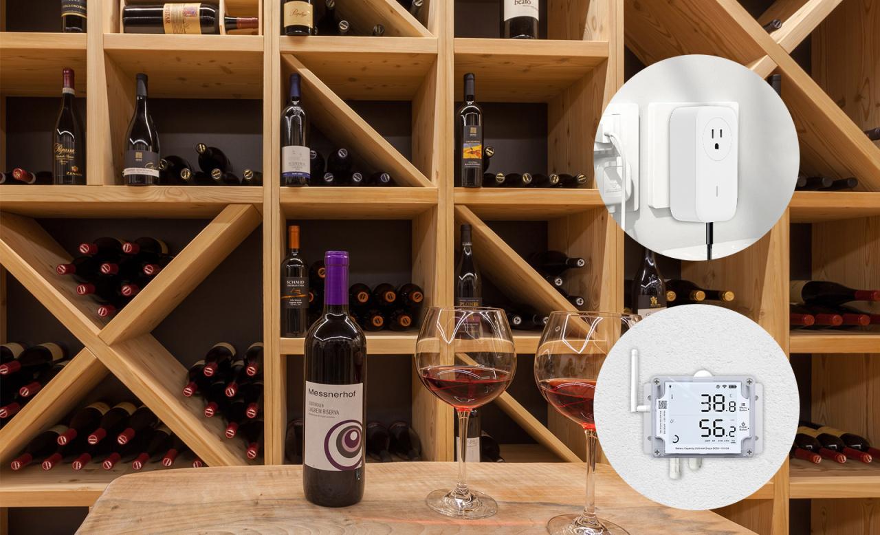 The Importance of Temperature Monitoring in Wine Storage